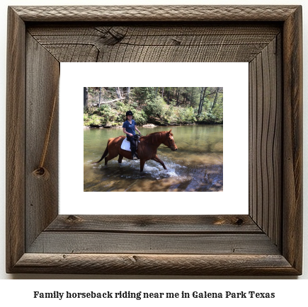 family horseback riding near me in Galena Park, Texas